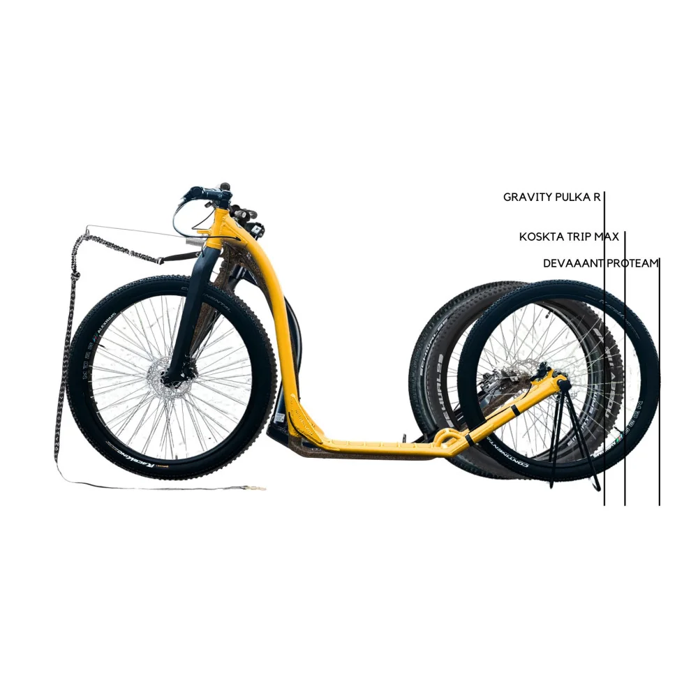 difference taille trottinette