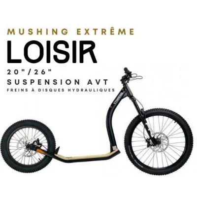 Trottinette Mushing Pro Air Gravity Livrée