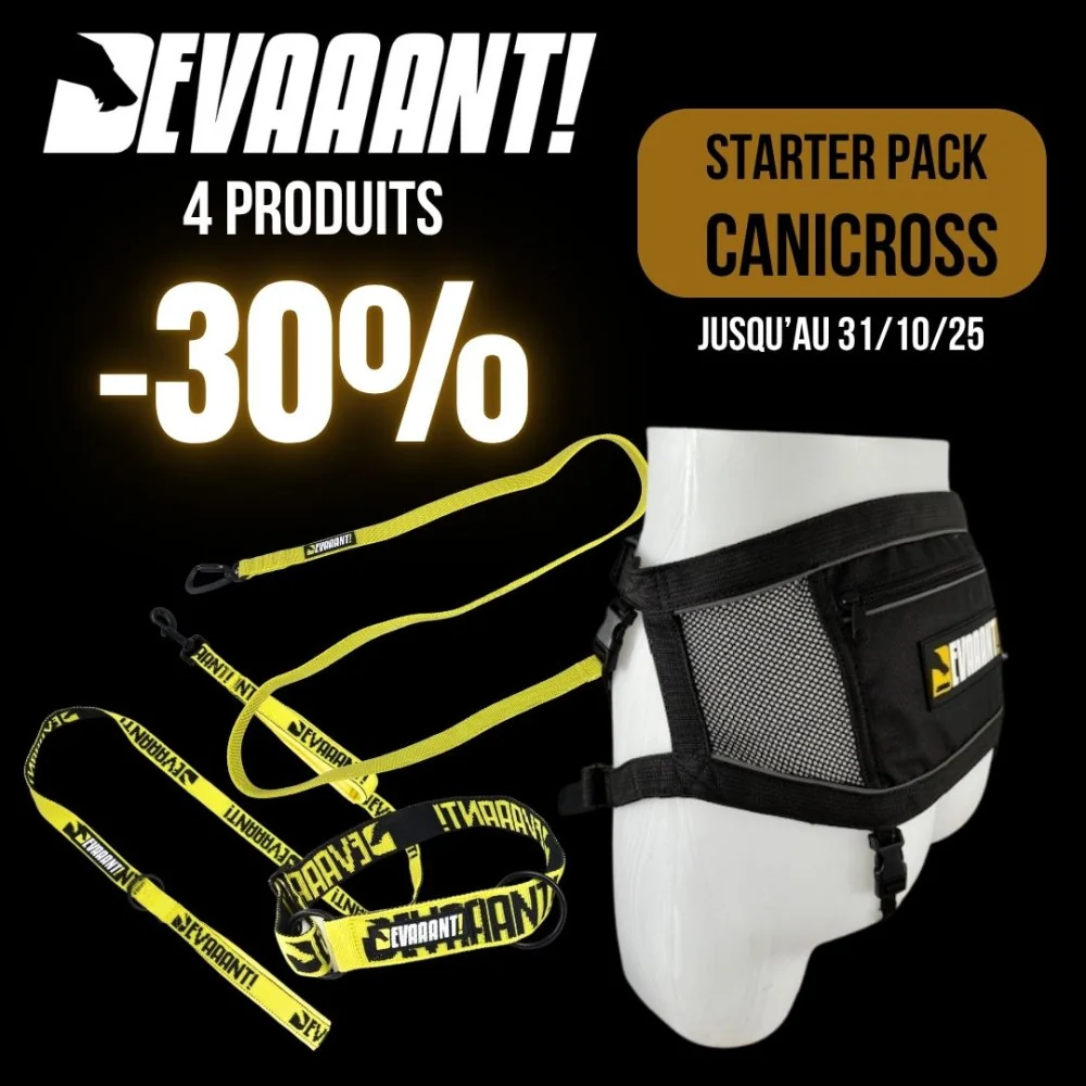 starter pack canicross