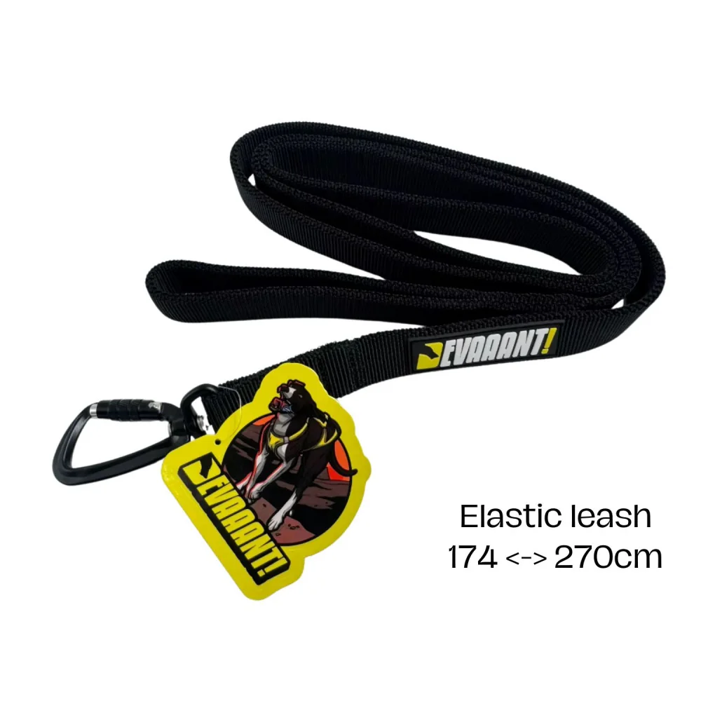 bikejor-leash-devaaant 2