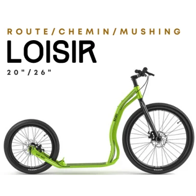 Cani Trottinette Yedoo Trexx Disc Livrée