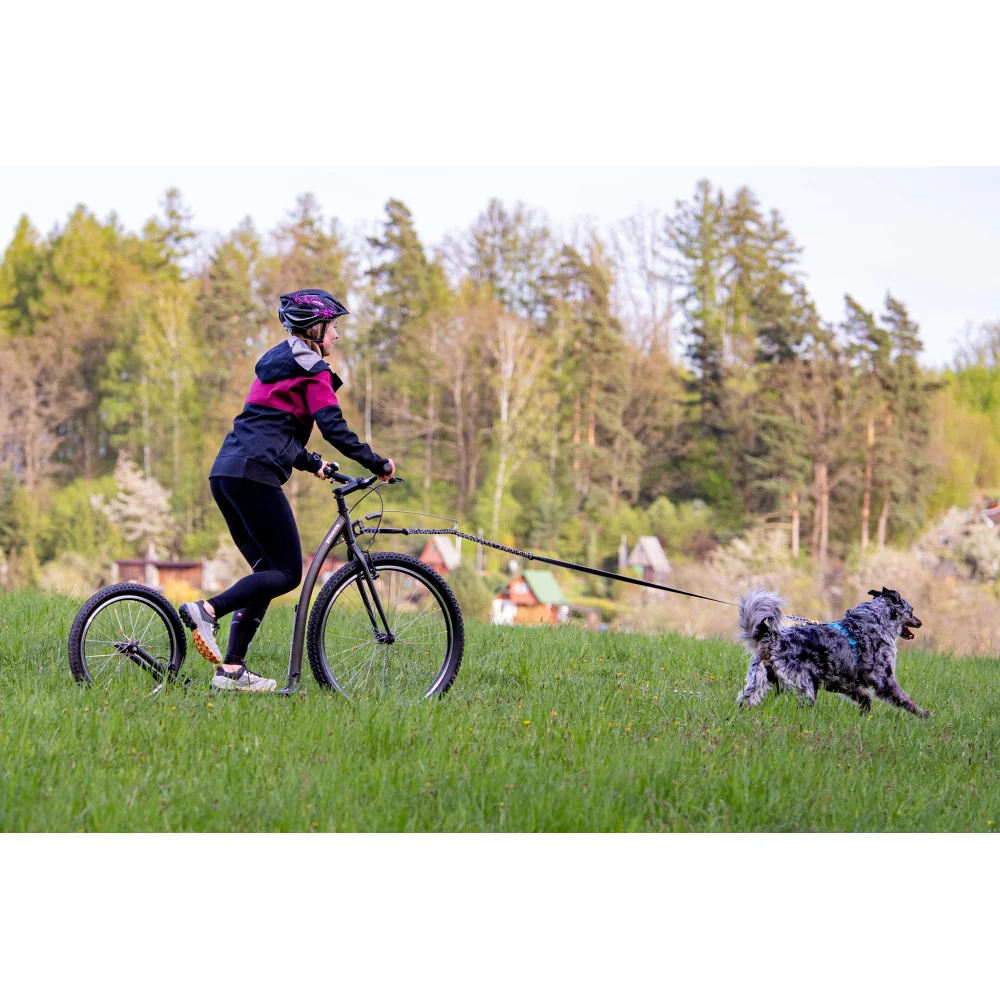 mushing racer fun grey
