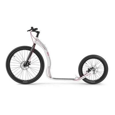Cani Trottinette Yedoo Trexx Disc