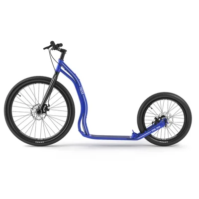 Trottinette Yedoo Trexx Disc