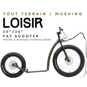 Cani Trottinette KOSTKA MONSTER MAX DOG G6 2