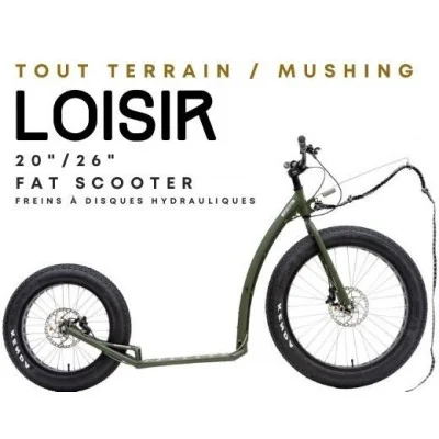 Cani Trottinette KOSTKA MONSTER MAX DOG G6 Livrée