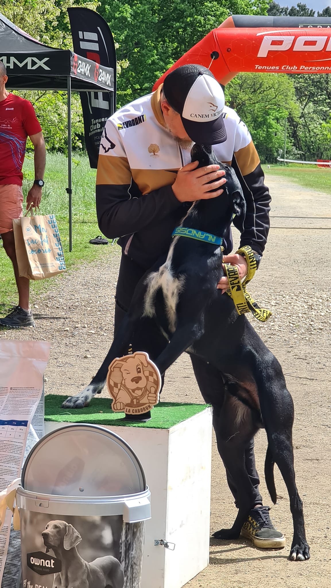 chien d e sport amour