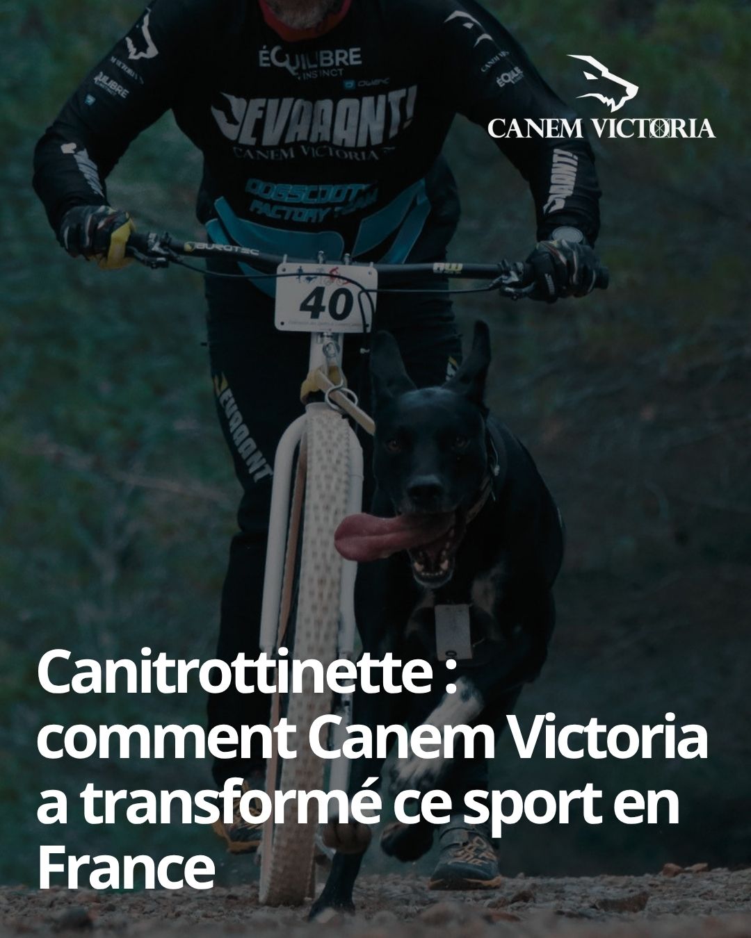 canitrottinette commen canem victoira a d&eacute;velopp&eacute; la discipline