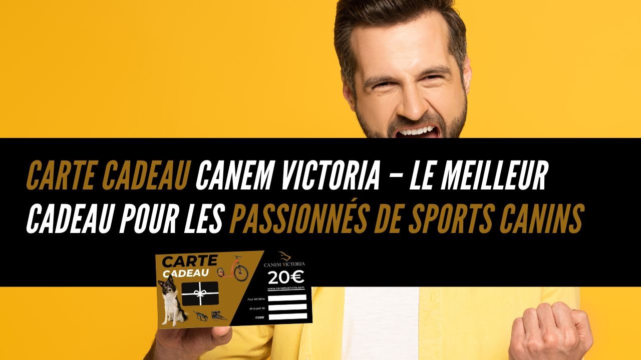 carte cadeau canicross