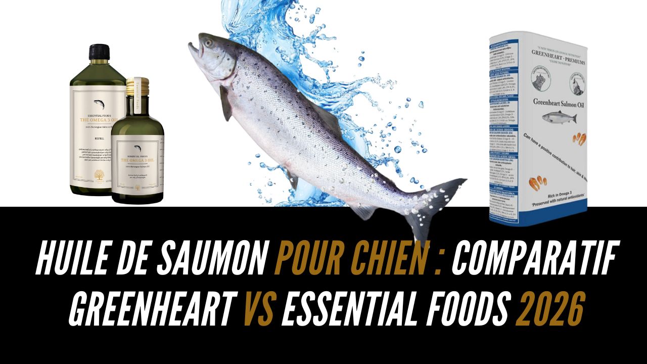 Huile-de-saumon-pour-chien-comparatif-Greenheart-vs-Essential-Foods-2026