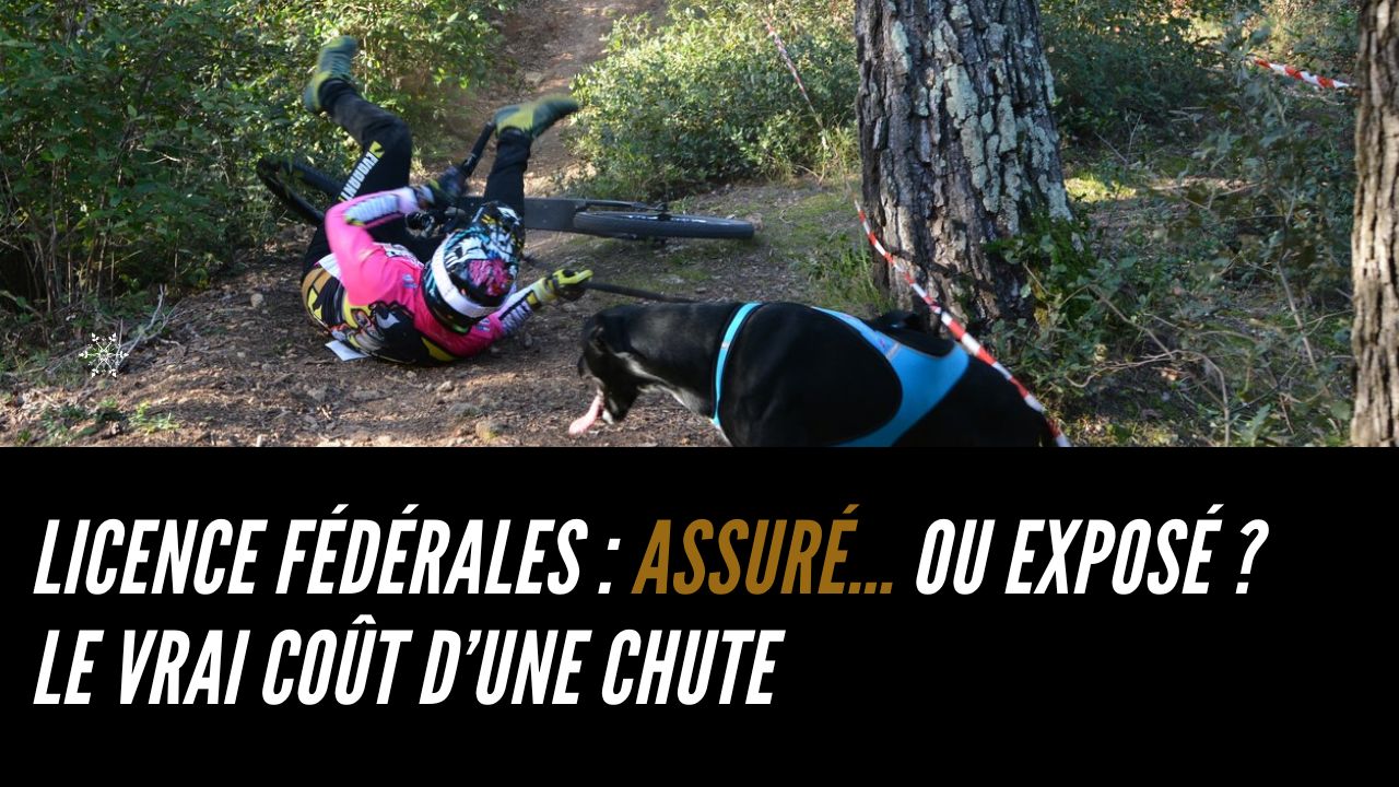 licence et assurance canivtt