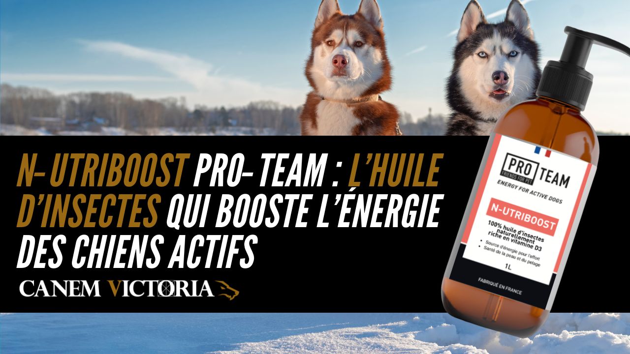 nutriboost proteam
