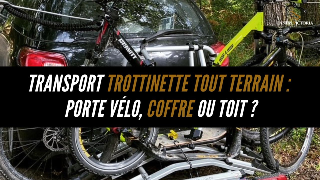 transport trottinette porte velo
