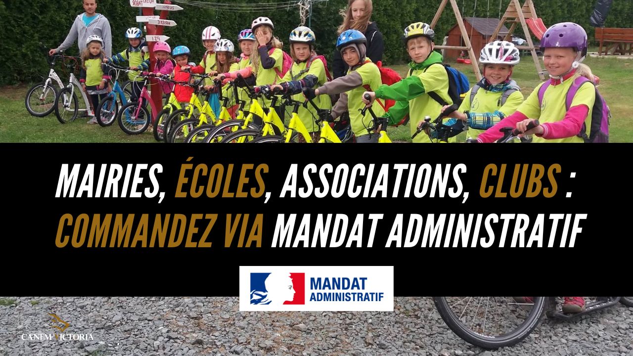 mandat adiministratif canicross croquette trottinette