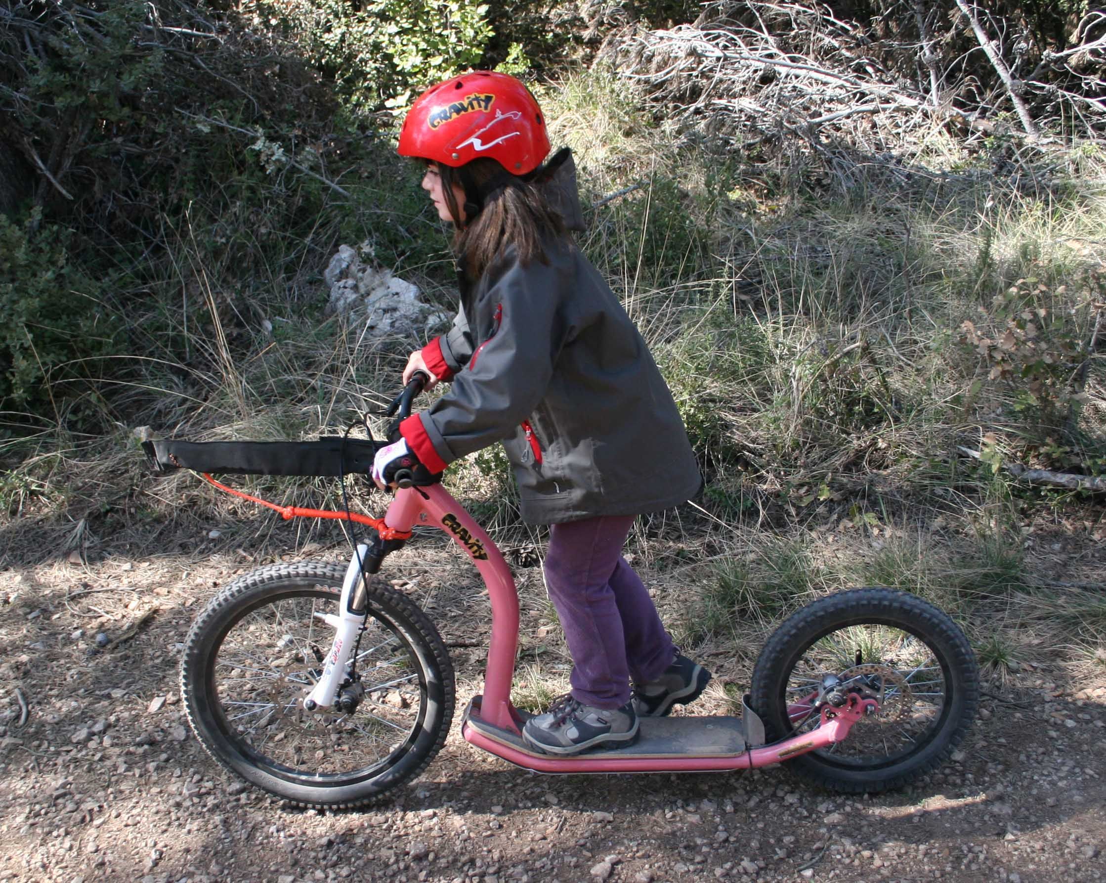 canitrottinette avec enfant