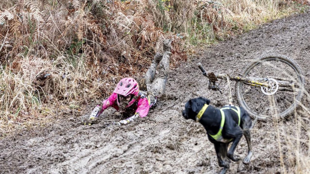 chute canitrottinette