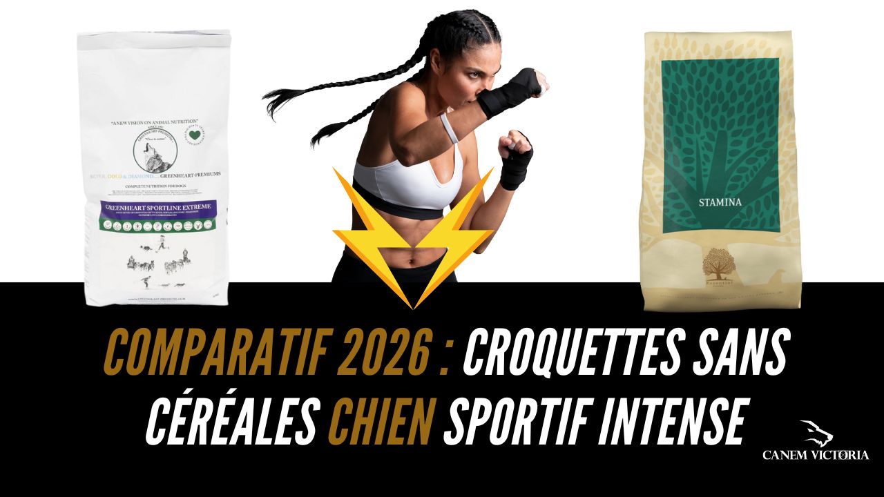 comparatif croquette sans cereales de sport