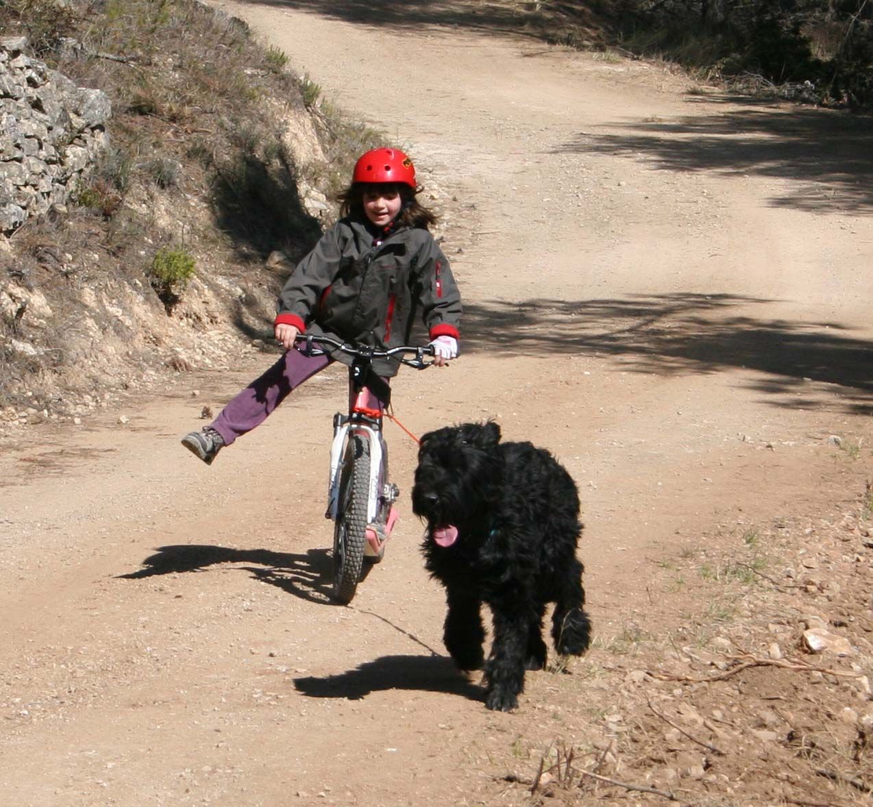 mushing kids