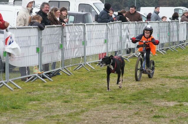 race mushing kids