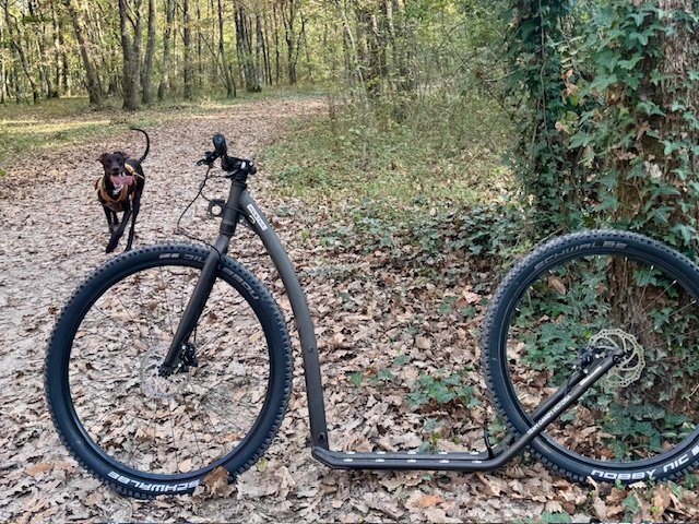 cani trottinette occasion