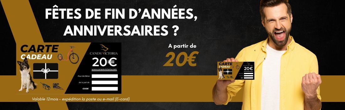 Carte cadeau canicross canivtt