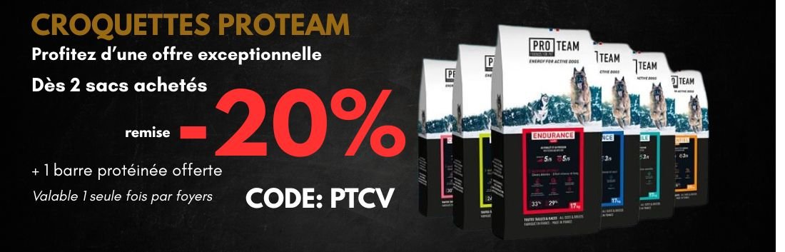 promotion croquette proteam
