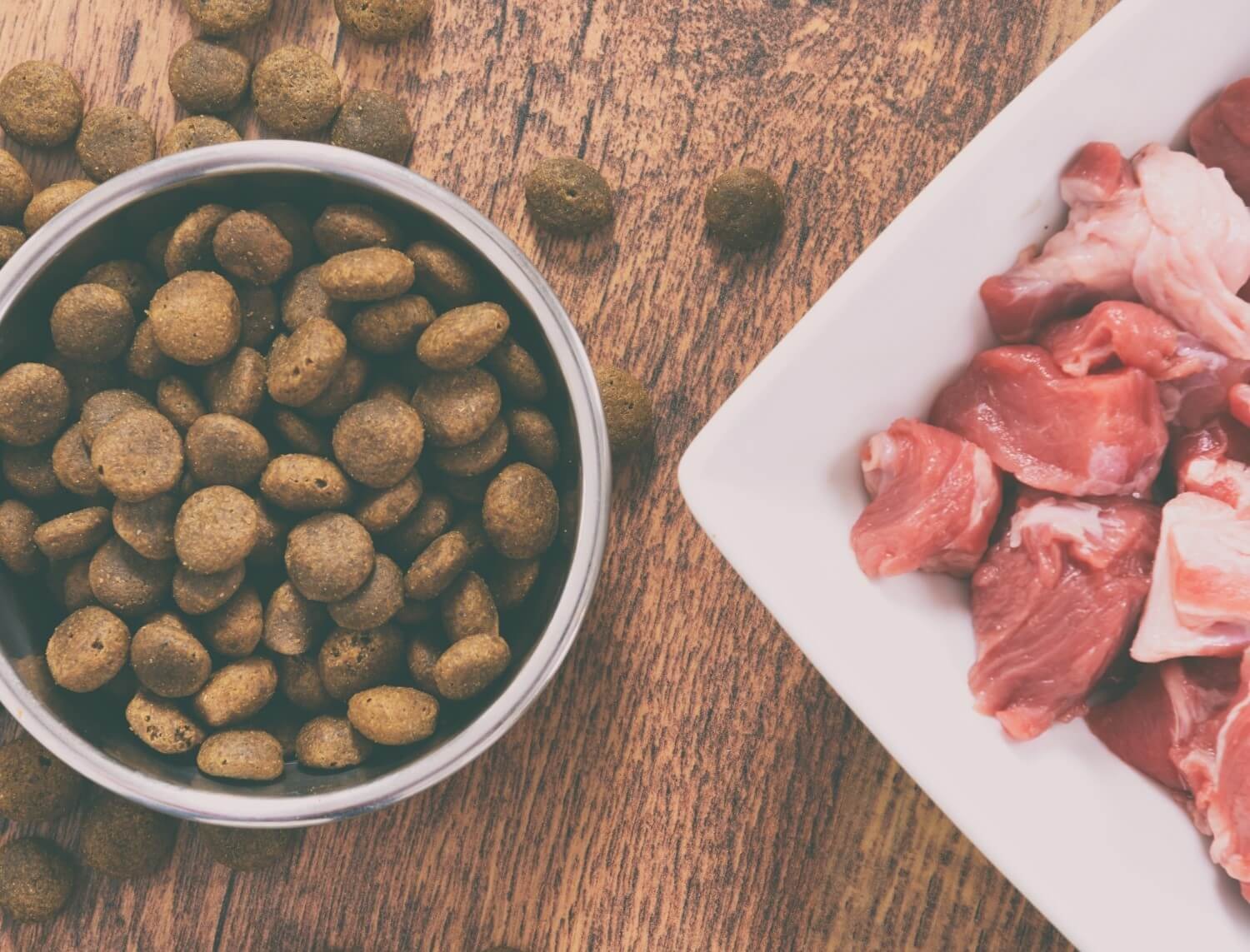 croquette chien les meilleures avec de la viande