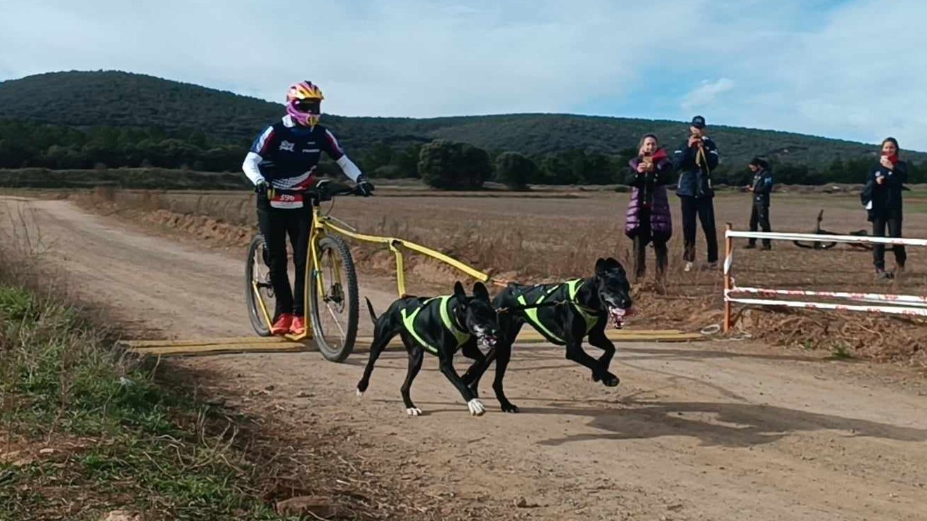 competition et chronometre