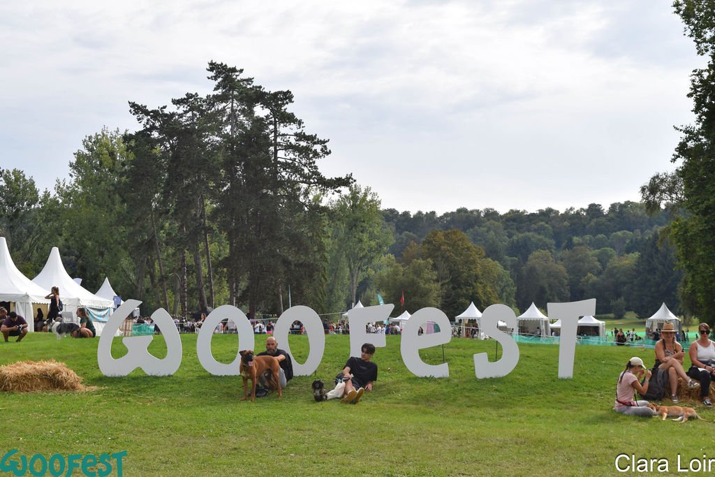 festival-woofest