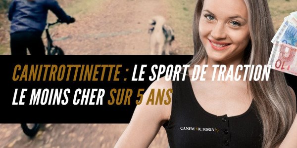 Canitrottinette : le sport de traction le moins cher sur 5 ans