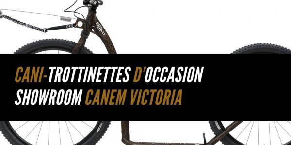 Cani-trottinettes d’occasion – Showroom Canem Victoria