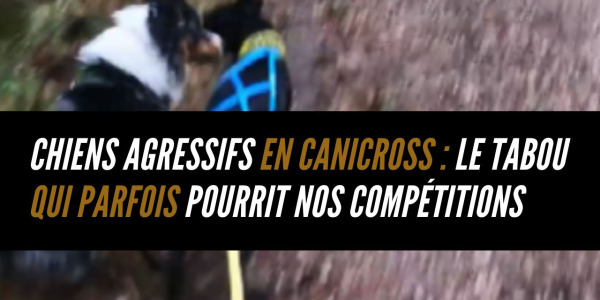 Chiens agressifs en canicross : le tabou qui parfois pourrit nos compétitions
