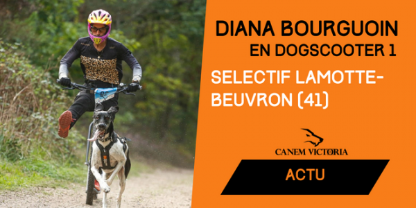 Sélectif FFST Lamotte-Beuvron 2022 : Diana Bourguoin sélectionnée en dogscooter 1