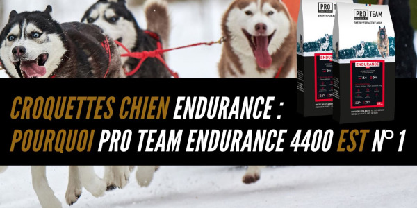 Croquettes chien endurance : pourquoi Pro Team Endurance 4400 est n°1