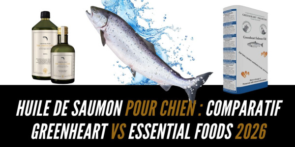 Huile de saumon pour chien : comparatif Greenheart vs Essential Foods 2026
