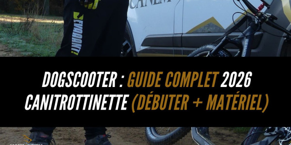 Dogscooter : définition, matériel, sécurité et méthode simple pour débuter en canitrottinette