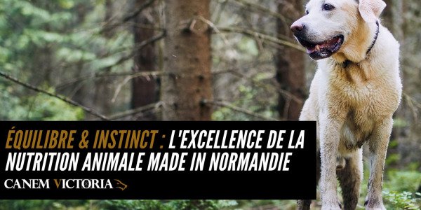 Équilibre & Instinct : l'excellence de la nutrition animale made in Normandie