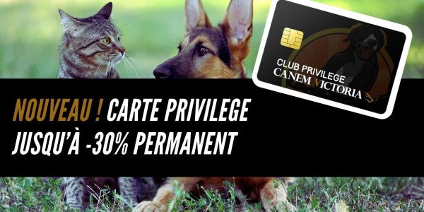Rejoignez le Club Privilège Canem Victoria