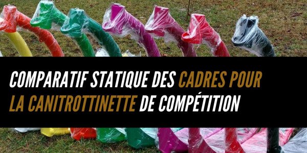 Comparatif statique des cadres pour la canitrottinette de compétition
