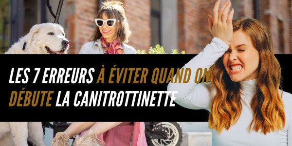 Les 7 erreurs à éviter quand on débute la canitrottinette