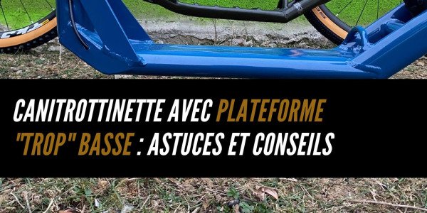 Canitrottinette avec plateforme "trop" basse : astuces et conseils pratiques