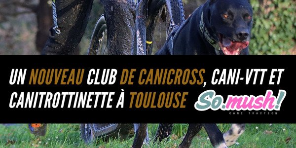 Un nouveau club de canicross, cani-VTT et canitrottinette à Toulouse