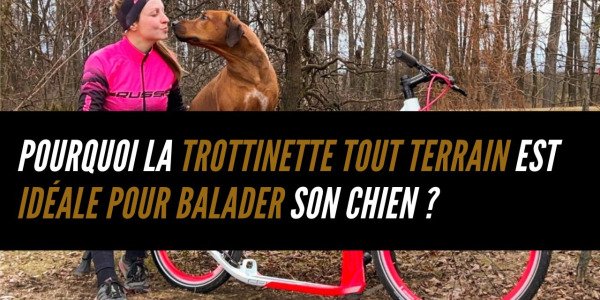 Pourquoi la trottinette tout terrain est idéale pour balader son chien ?