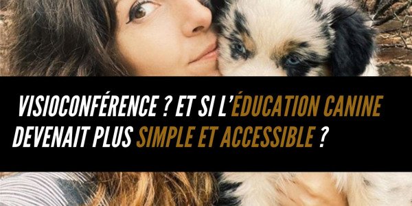 Éducation canine à distance : des consultations en visio pour simplifier votre quotidien